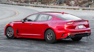 tiny wheel stinger.webp