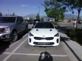stinger 45b costco.jpg