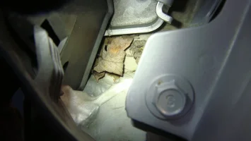 DSC09336.webp DSC09336.webp