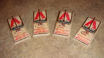 DSC09338.webp DSC09338.webp