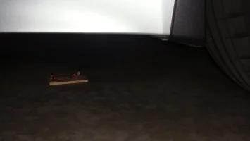 DSC09339.webp DSC09339.webp