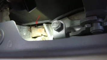 DSC09337arrow.webp DSC09337arrow.webp