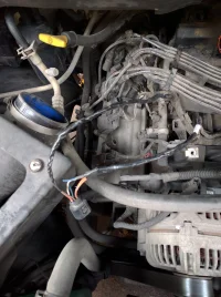 IMG_20151130_093938.jpg IMG_20151130_093938.jpg