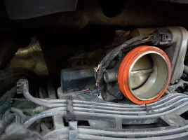 IMG_20151130_080943.webp IMG_20151130_080943.webp