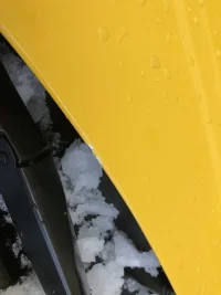 IMG_2236.webp IMG_2236.webp