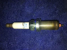 Plug 1.webp