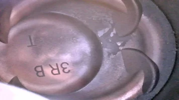 JPG00005.webp