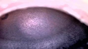 JPG00010.webp
