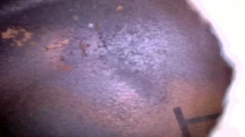 JPG00012.webp