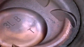 JPG00017.webp