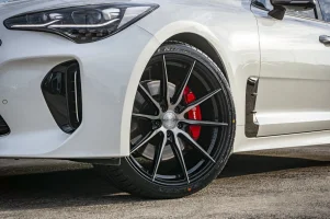 Kia Stinger Vertini RF1.1 Dark tint 4.webp Kia Stinger Vertini RF1.1 Dark tint 4.webp