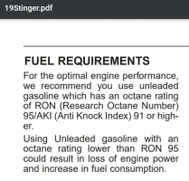 2019StingerFuel.webp