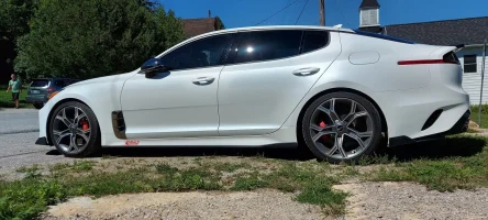 StingerRims.webp