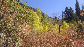 DSC09447.webp
