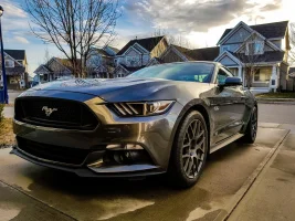 Mustang Mine.webp
