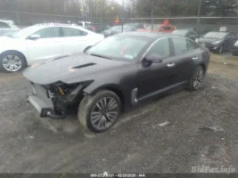 kia-stinger-2019-knae15la4k6046528-img2.webp
