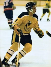 Cincinnati Stingers.webp