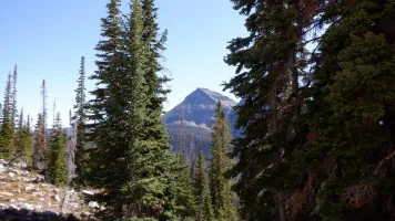 DSCF0005.webp