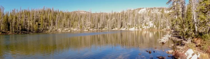 DSCF0018.webp