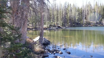 DSCF0019.webp