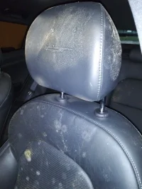 KIA Stinger Mold - Front Driver Seat Back.webp