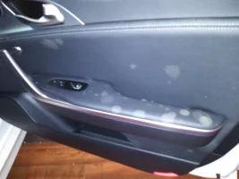 KIA Stinger Mold - Front Passenger Door.webp