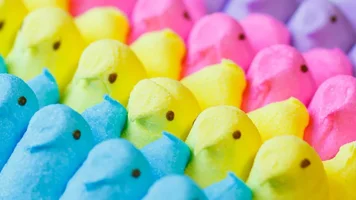 peeps.webp