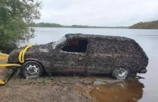 Screen Shot 2020-11-08 at 1.26.15 PM.webp