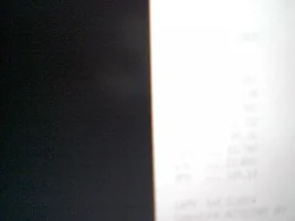 CIMG1113.webp