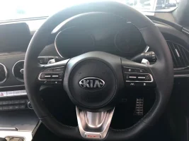 steering wheel.webp