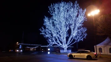 DSCF0222.webp