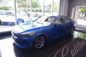 stinger kiadillac.webp