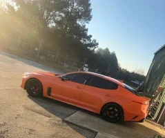 Stinger 6.webp