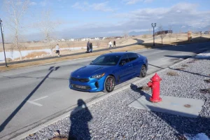stinger 65a 11400 south.webp