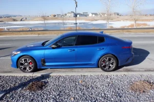 stinger 65c 11400 south.webp