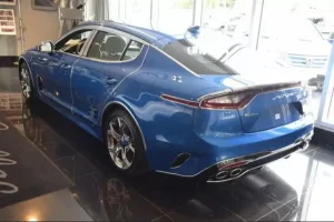 stinger kiadillac2.webp