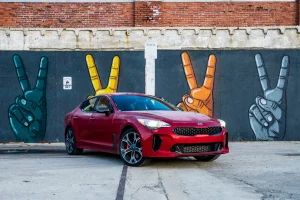 Stinger01a.webp