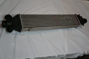 DSC01720.JPG