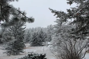 20210126151813_IMG_1695.webp 20210126151813_IMG_1695.webp