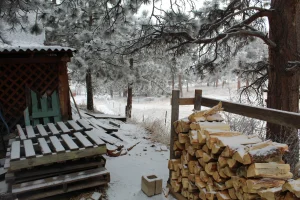 20210126151759_IMG_1694.webp 20210126151759_IMG_1694.webp