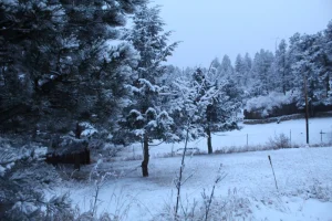 20210126203442_IMG_1723.webp 20210126203442_IMG_1723.webp