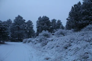 20210126203351_IMG_1718.webp 20210126203351_IMG_1718.webp