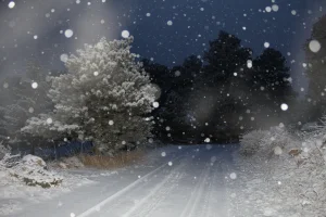 20210126203415_IMG_1721.webp 20210126203415_IMG_1721.webp