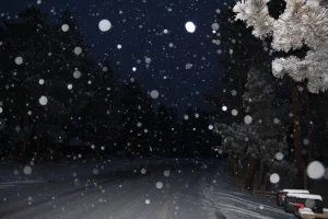 20210126203650_IMG_1733.webp 20210126203650_IMG_1733.webp