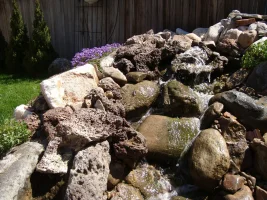 DSC07784.JPG DSC07784.JPG