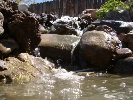 DSC07785.JPG DSC07785.JPG