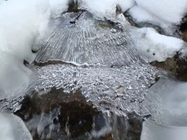 DSC07071.JPG DSC07071.JPG