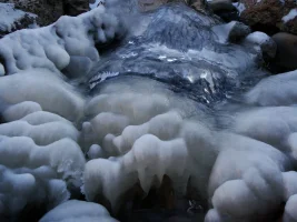 DSC07321.JPG DSC07321.JPG