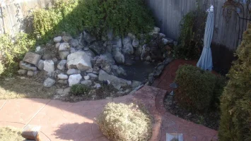 DSC02514.JPG DSC02514.JPG