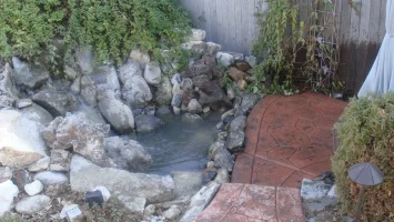 DSC02513.JPG DSC02513.JPG